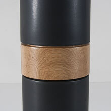 holly in obsidian