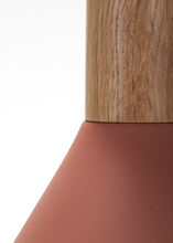 pyrus pair in clay pot matte